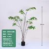 180cm Irregular Water Stone Banyan