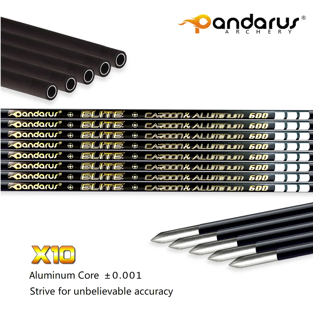 パンダラス エリート X10 アーチェリー カーボンアルミニウム 3.2mm