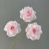สีชมพูอ่อน