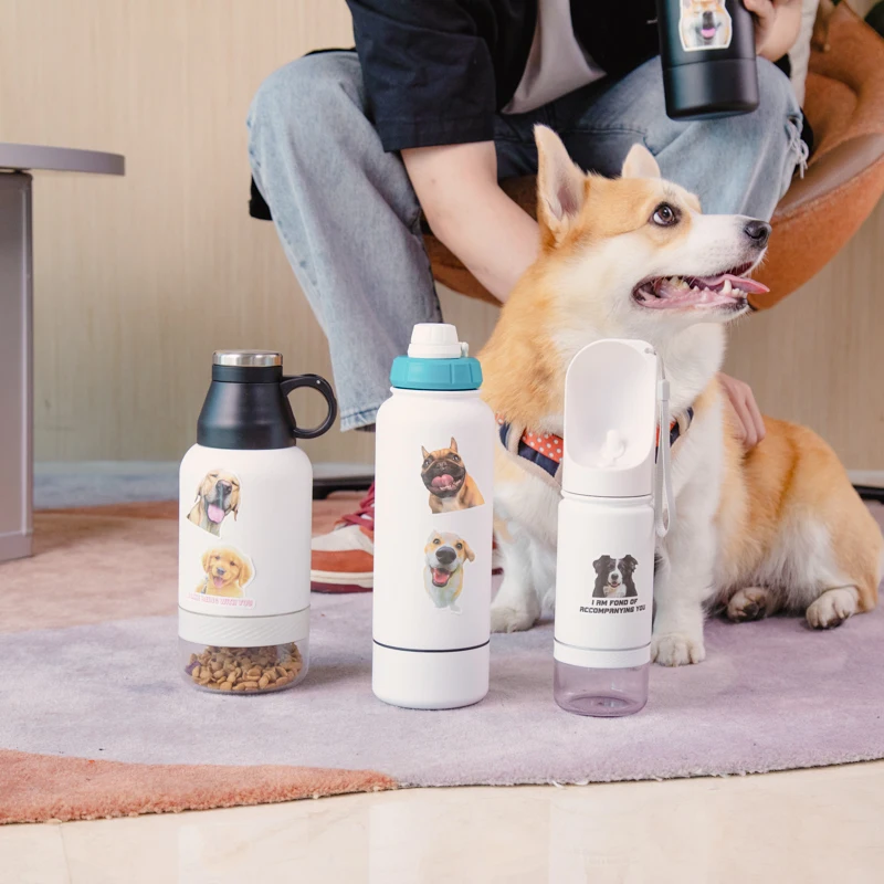 Everich 3 In 1 Multifunctional Design Stainless Steel Insulated Pet Feeding Dog Water Bottles