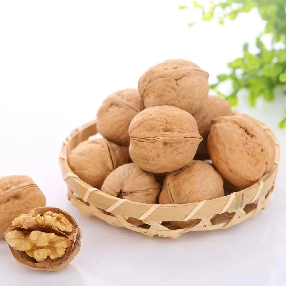 Raw walnut high quality walnut wholesale walnut