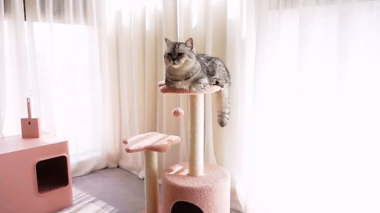 Pink Cat Tree House Villa Sisal Scratching Post Cat Wholesale Cat