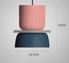 rosa 2