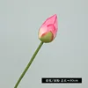 Capullos de flores [rosa roja]