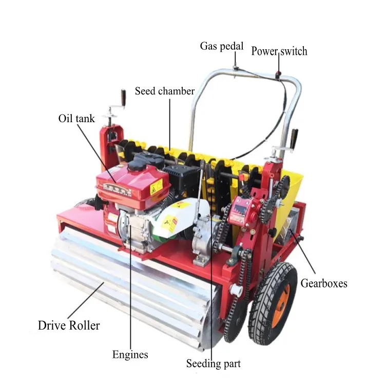 Automatic Garlic Seeder Machine Garlic Planter Sale Agriculture Equipment and Tools Planter
