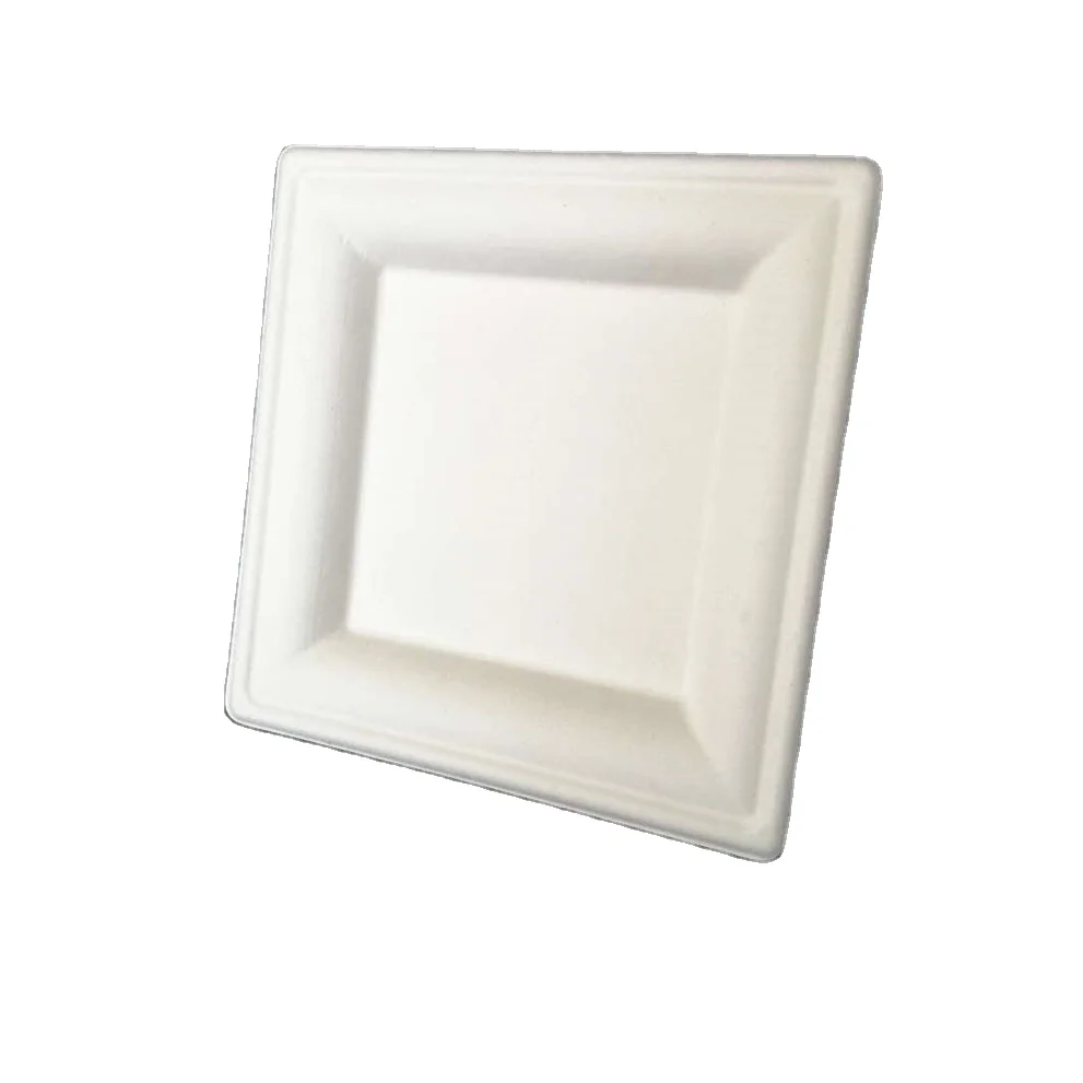 paper plate-biodegradable sugarcane paper plates compostable