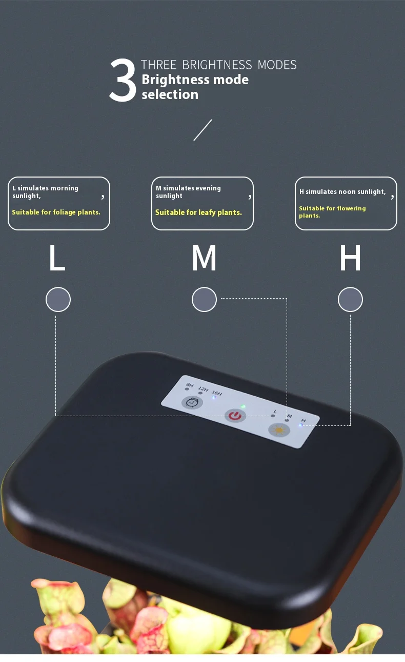 H479ae904d40f4edea4c7aa25878fff34Q