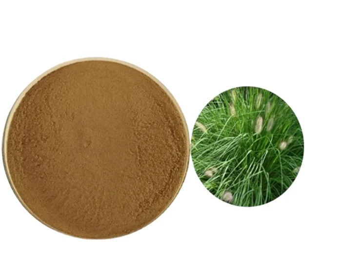 Lebensmittelqualitt 1kg Echtes Stechpalmen-Kruterextrakt-Pulver  Polyphenolreicher Tee-Extrakt Equisetum Arvense L Gesundheit MOQ Verpackt  in Beuteln und Fssern