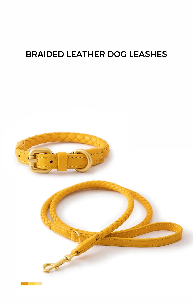 Wholesale Pu Leather Braided Dog Lead Rope Pet Collar Set Designer Dog