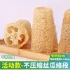 Promotional model, non-compressed loofah segment, no hanging cor