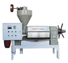 2024 Advanced Superior Quality 230kg/H Oil Pressers Coconut Extraction Machine Automation Pressing Oil Machine