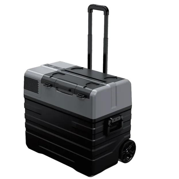 12V DC Compressor Mini Car Fridge Freezer Refrigerator Black Sports Ce Audi ABS 60W Freezers for Cars 100l Freon 6 Months 100