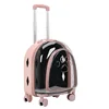 Style 2 Pink Semi-transparent