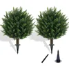 60cm cypress green