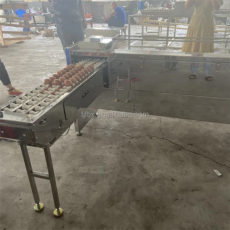 Different Weight Chicken Egg Sorting Machine Egg Sorting And Washing Machine Buy Egg Size