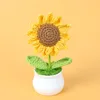 Yellow Sharp-angled Sunflower Potted (5 circles) - 12 petals