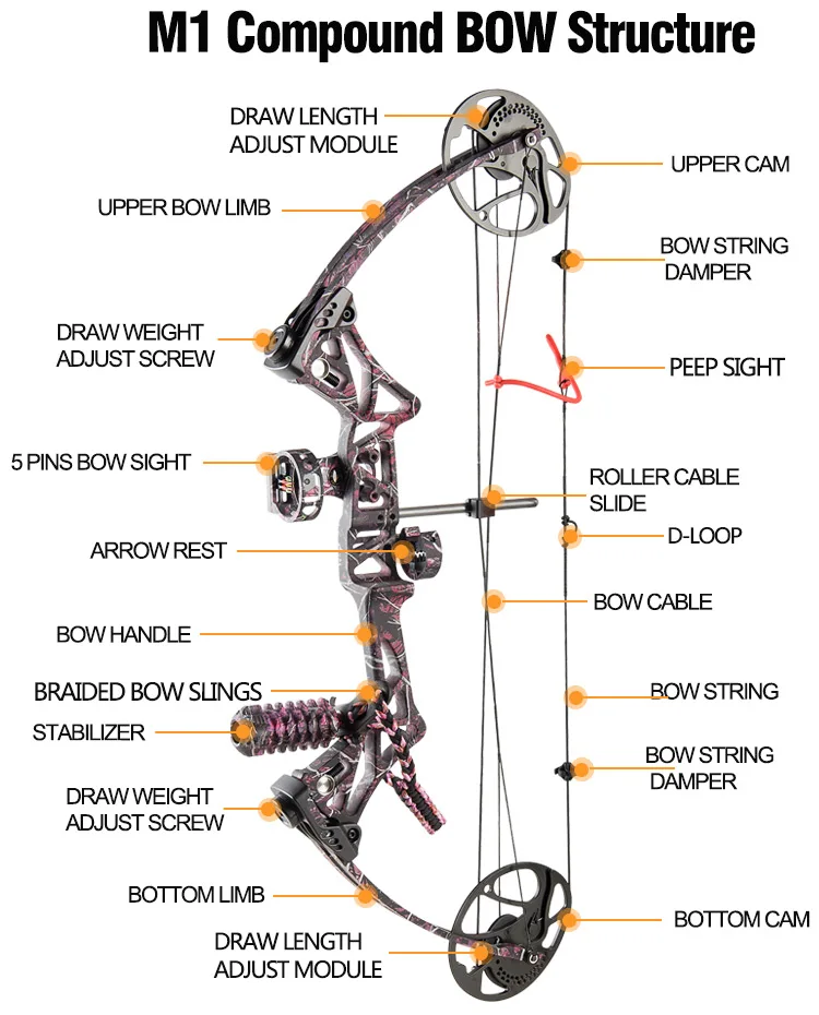 Topoint Archery Women Compound Bow Package,Women Hunting Compound Bow