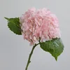 2 rosas