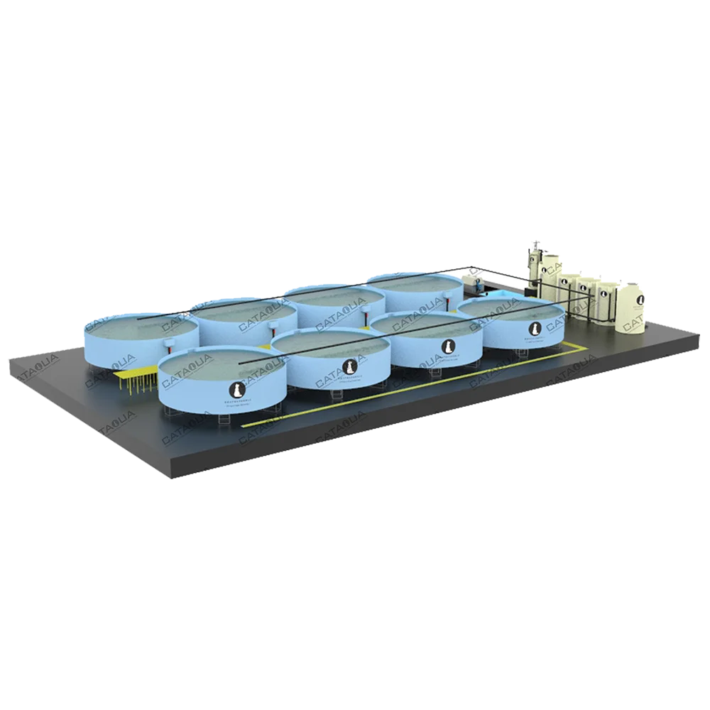 CATAQUA Ras Tilapia Fish Farming Equipment Recirculating Aquaculture System Price
