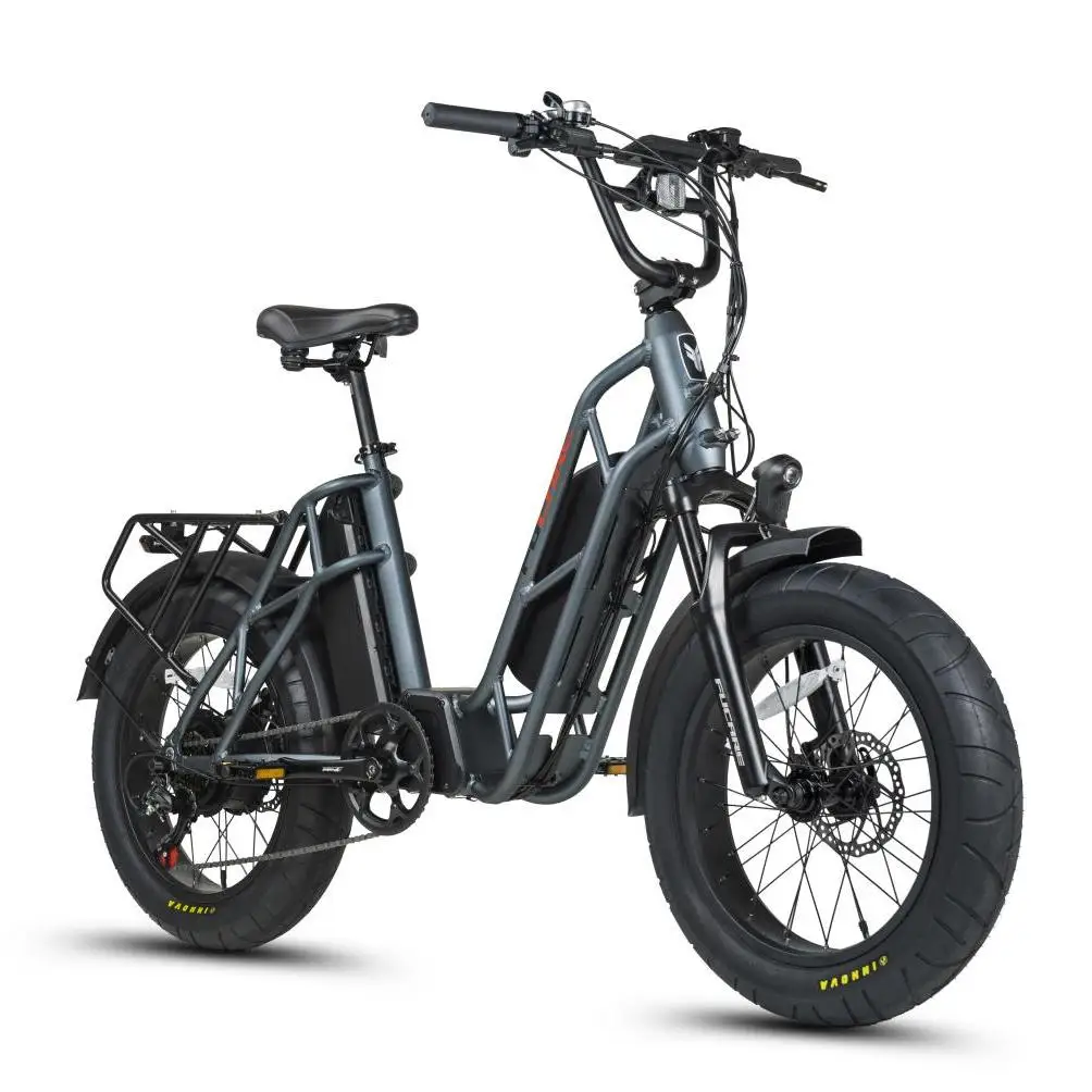 Rechargeable Used Electric Bicycle Tailg Fat Tire Mountain E Bike Biggest Tyer High Power Buy Electric Bicycle