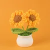 Yellow Finished double-headed sunflower small potted plant (6cm)