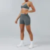 Sujetador + Pantalones cortos (gris)