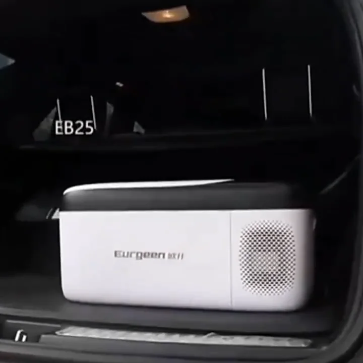 Mini Electric Camping Car Cooler Box
