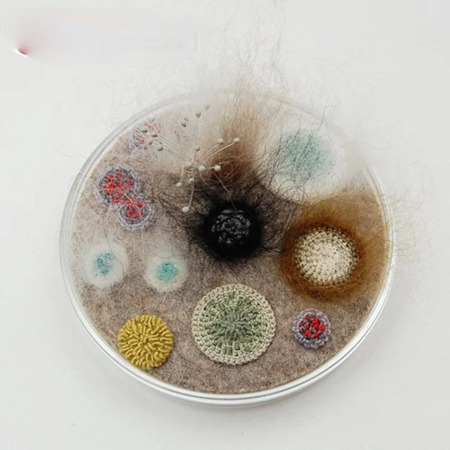 Стерилизованная питательная чаша Петри с агаром для роста бактерий