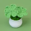 Two potted four-leaf clovers-Bean Green