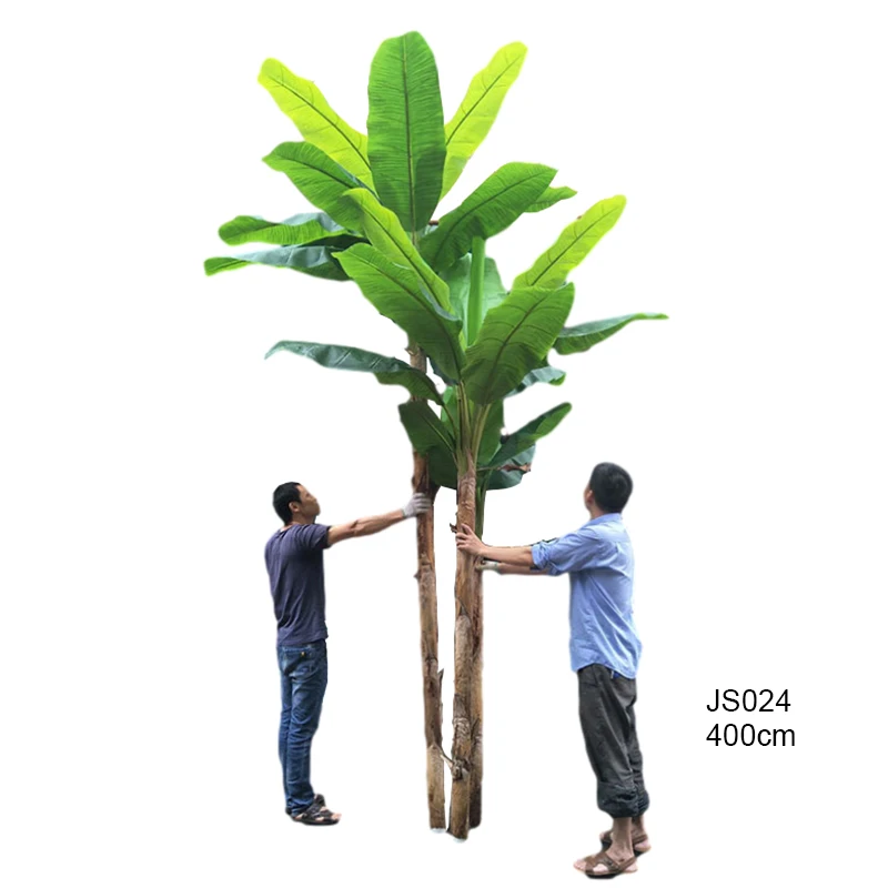 JS024