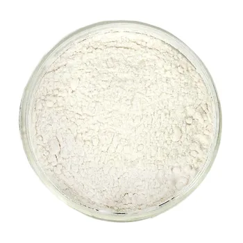 Tianjia Food Additive Sodium Alginate Powder/Sodium Alginates E401