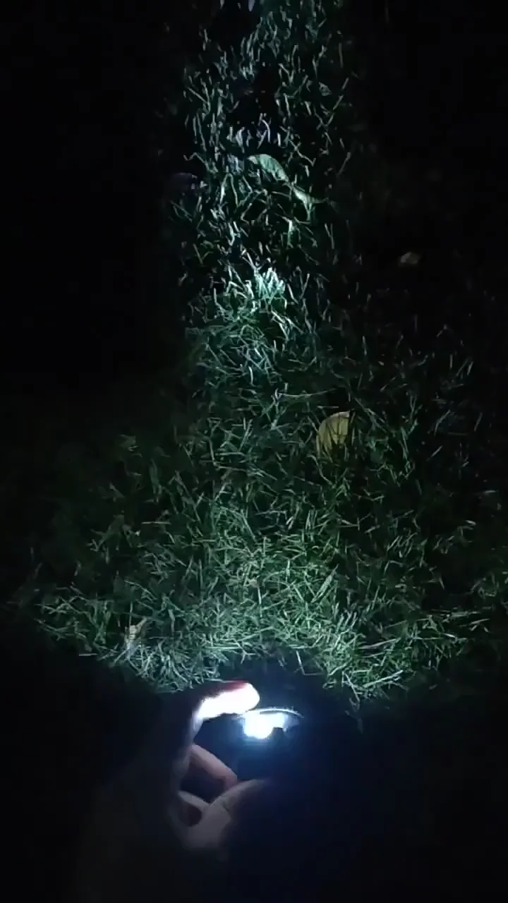 Headlights For Croc,Light Up Led Shoe Decorations Charms 3 Light Modes