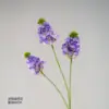 Deep purple rapeseed flowers