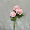 สีชมพู