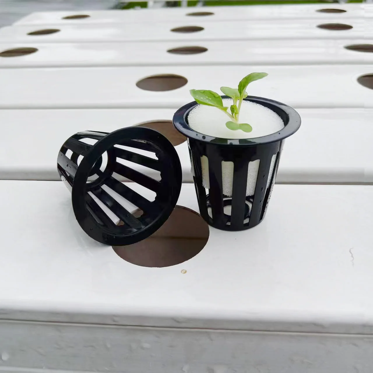 hydroponic net cup
