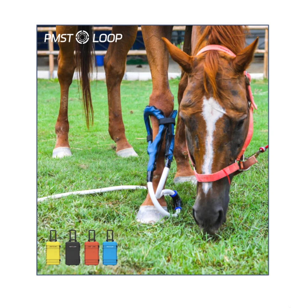 6000 Gauss PEMF Loop Physio Magneto Pulser Therapy Device Horse Physiotherapy Rehabilitation Equipment
