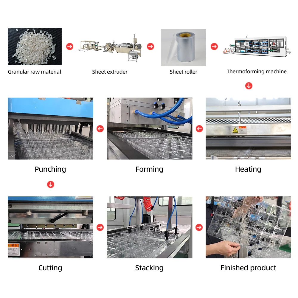 Plastic Thermoforming Disposable Polystyrene Ps Plate Food Container Cup Lid Making Machine Price