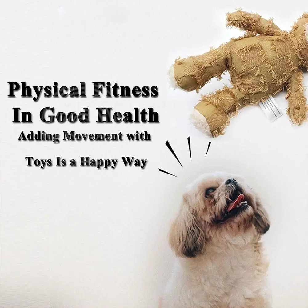 Petdom Extreme Bear Squeaky Training Interactive Play Pet Toy