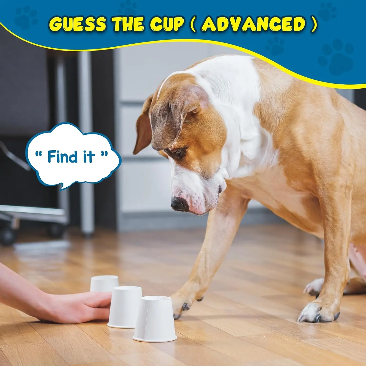 Kit de entrenamiento de aroma de perro sólido, trabajo de nariz, juegos  mentales, Sniff Seek, juguetes para olfatear perros, estimulación mental de 