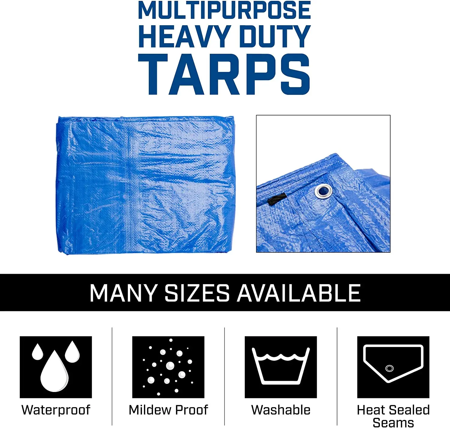 Tarp