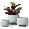 Reactive Glaze Blue Gray