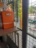สีส้ม