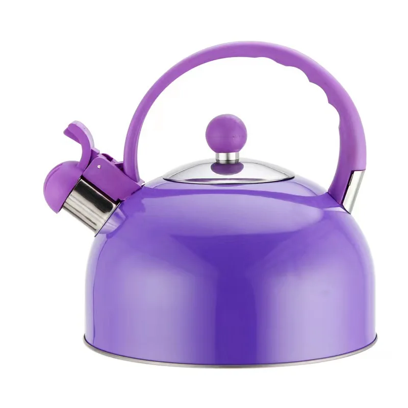Whistling Kettle For Gas Stove Bouilloire 2.3l 3.3l Stainless Steel