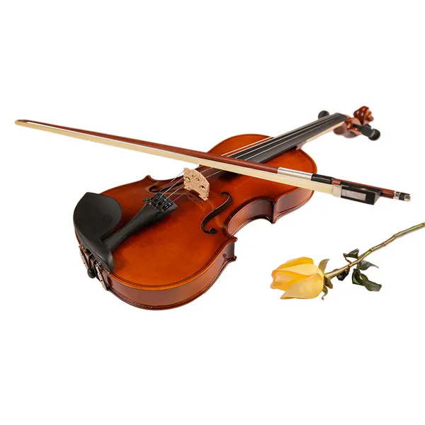 Factory Direct Sales 4/4-1/16 Basswood Cheap Violin With Bow Violin case Model TL-VP01B