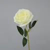 3 stems of Empress Rose white