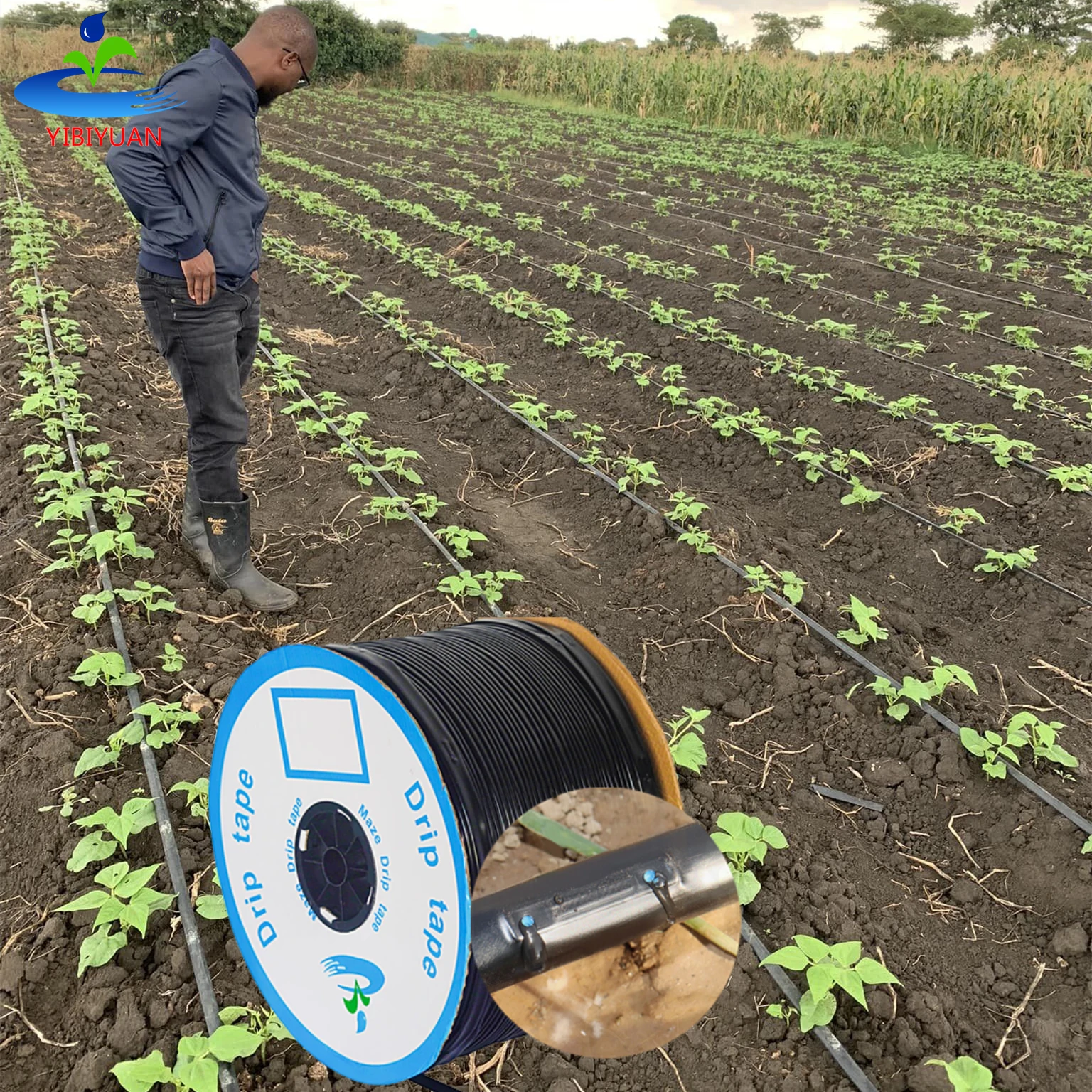 16Mm Drip Irrigation Tape 0.2Mm Thick 20Cm 30Cm 40Cm Drip Irrigation System 1 Hectare