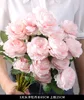 3 Big head peony