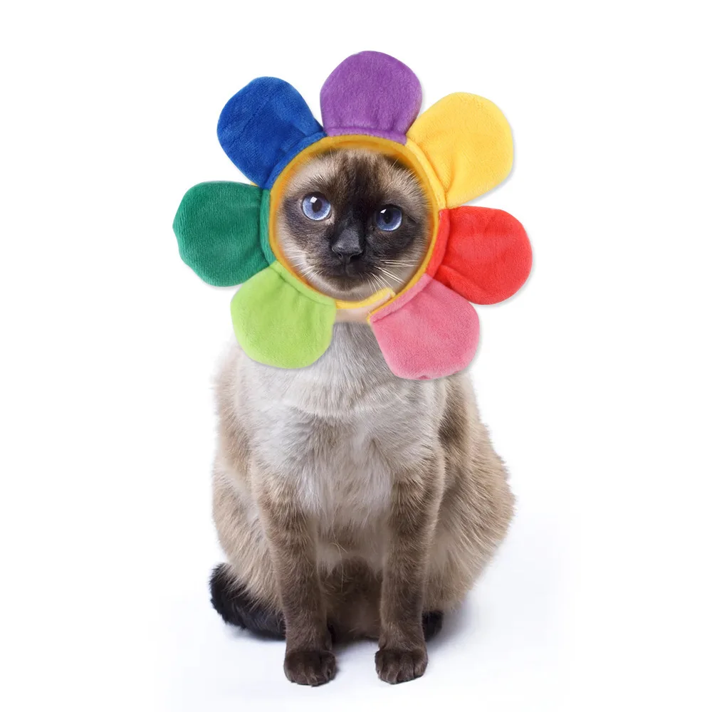 Vestido De Peluche De Girasol,Sombrero De Gato,Disfraz De Mascota,Bonito  Sombrero Para Mascotas,Gatos Y Perros - Buy Girasol Sombrero,Cosplay  Encantador Lindo Sombrero,Oso De Peluche Vestido De Traje De Mascota  Product on 