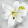 Pure white2