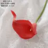 Bright red